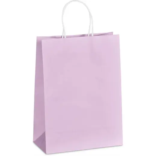 Altitude Vogue Midi Paper Gift Bag Pink